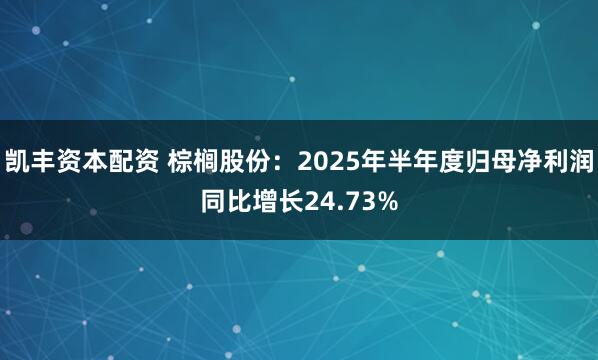 凯丰资本配资 棕榈股份：2025年半年度归母净利润同比增长24.73%