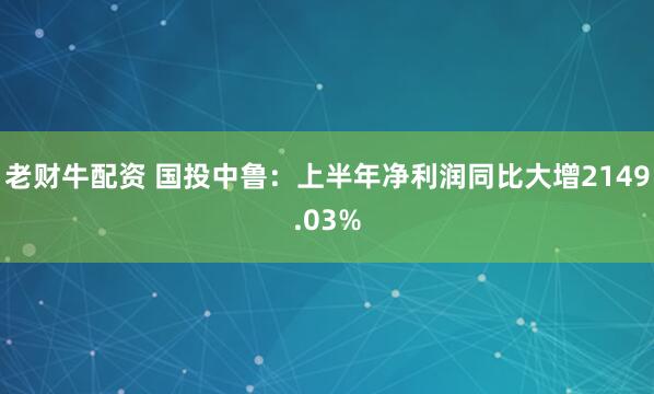 老财牛配资 国投中鲁：上半年净利润同比大增2149.03%